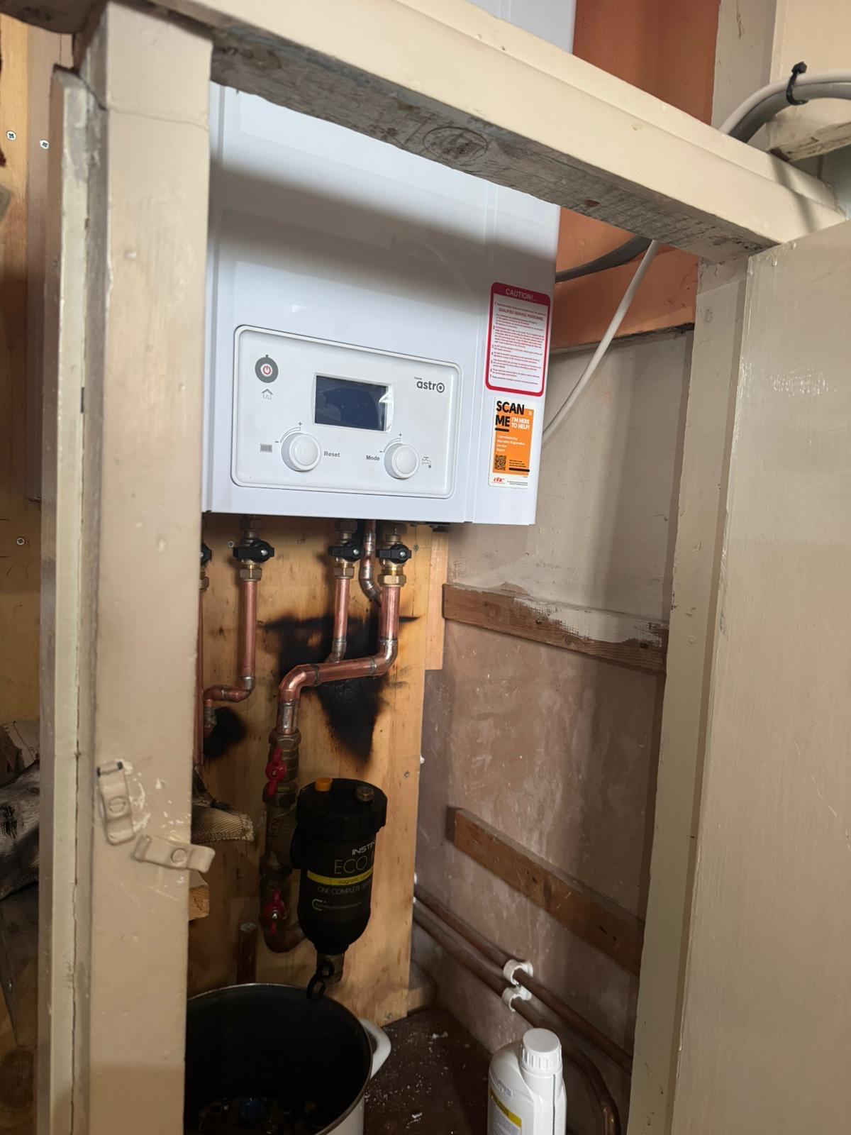 Electric boiler and filter